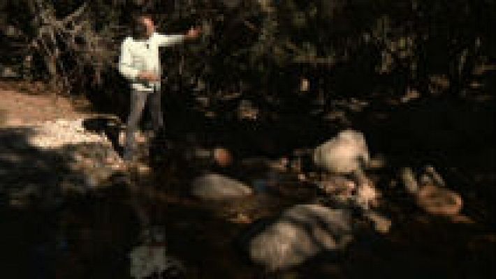 Aquí la Tierra - El Manzanares más joven