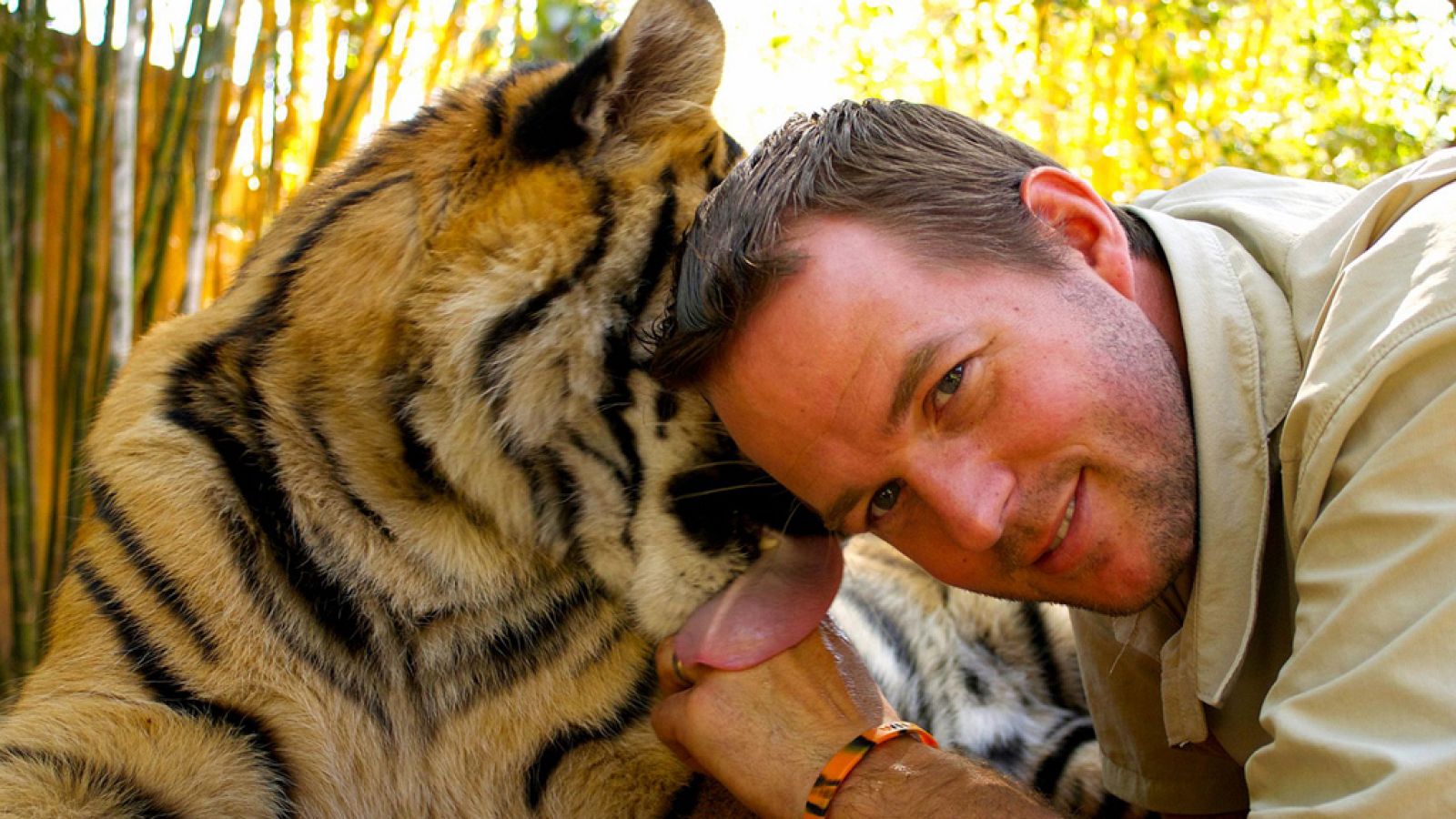 Documenta2 - Tigres en casa. Lo que sucedió después. Capítulo 2 - ver ahora