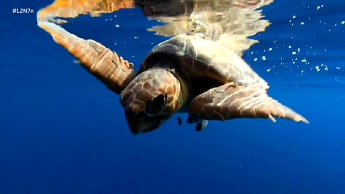 La 2 Noticias - La 2 Noticias - 07/11/18