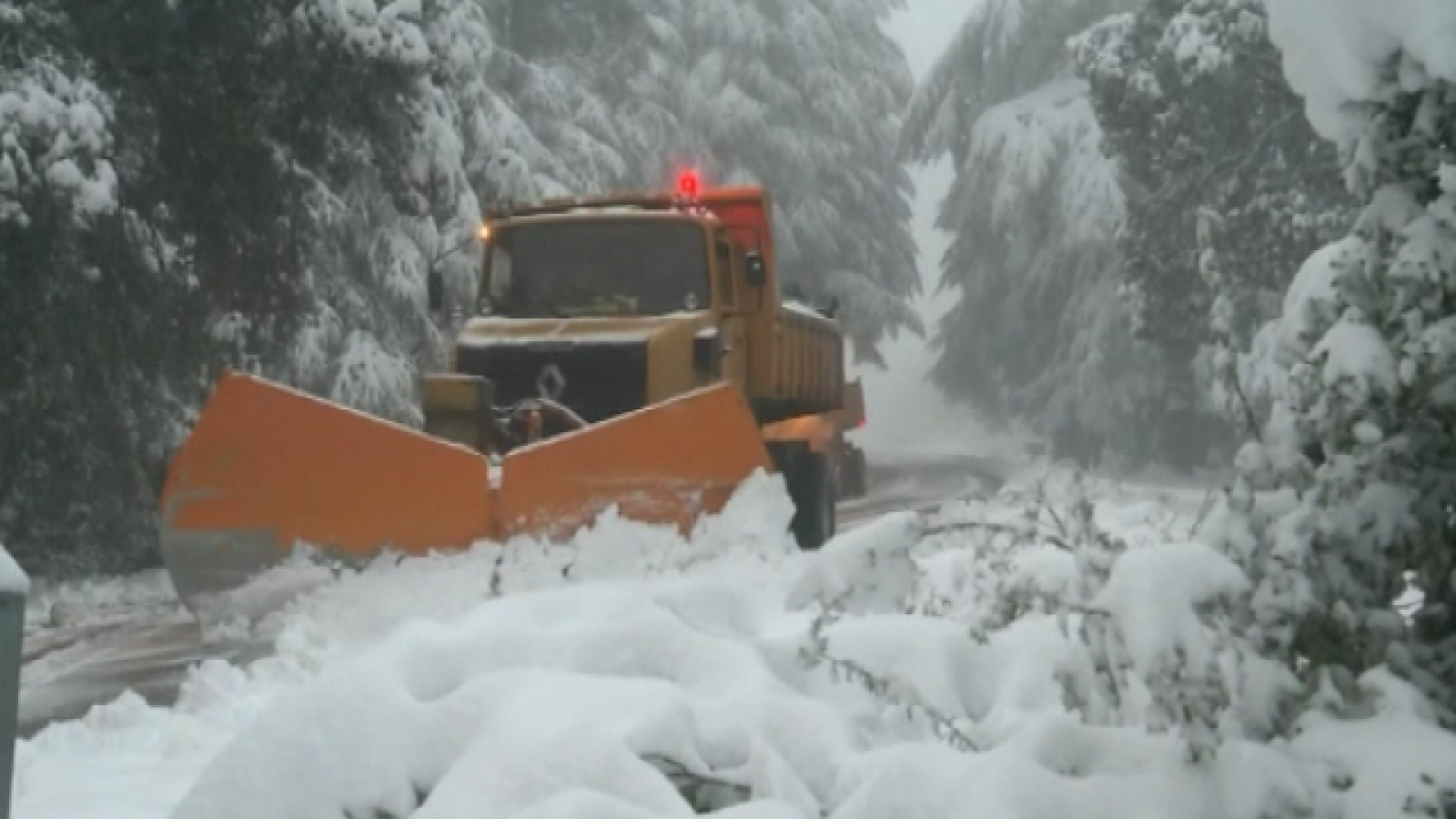 Teleplaneta - 05/11/2018 - Teleplaneta | Ver