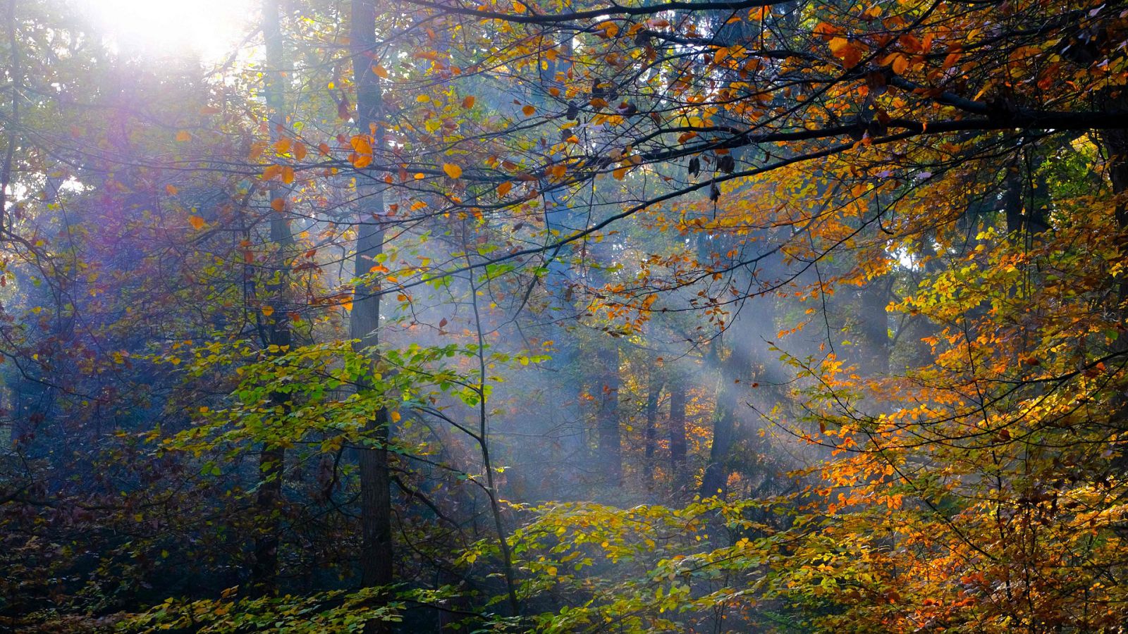El Tiempo en la Comunidad de Madrid - 08/11/18 - ver ahora