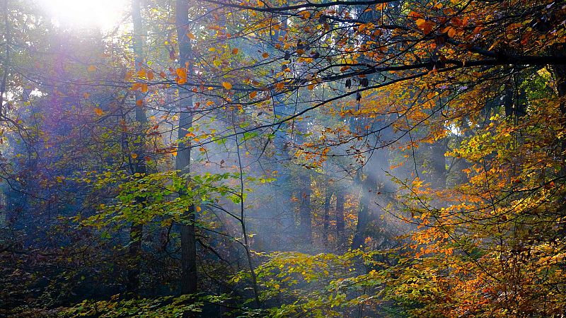 El Tiempo en la Comunidad de Madrid - 08/11/18 - ver ahora