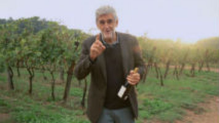  Juanma López Iturriaga y el vino 