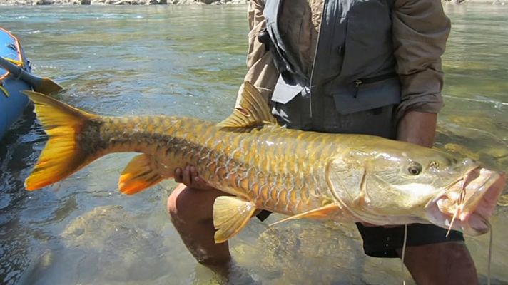 Otros documentales - Pesca Imposible 2: Nepal