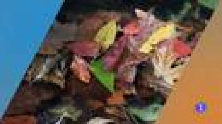 Noticias Aragón - El tiempo en Aragón - 12/10/2018