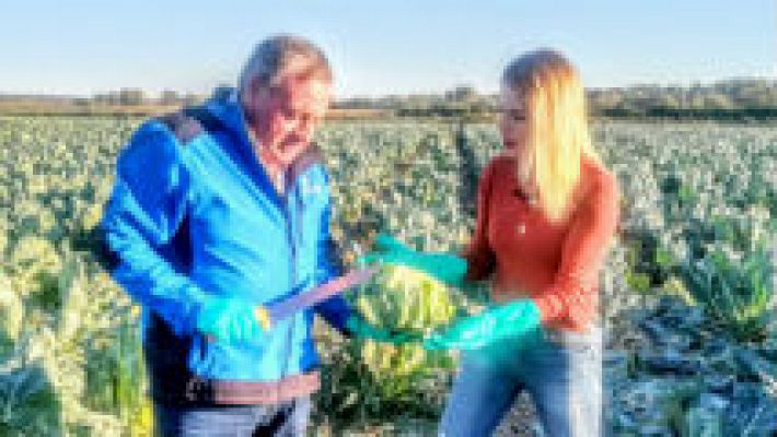 Aquí la Tierra - ¿Es coliflor o piña?