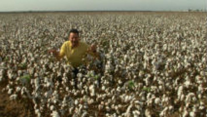 Aquí la Tierra - Entre algodones