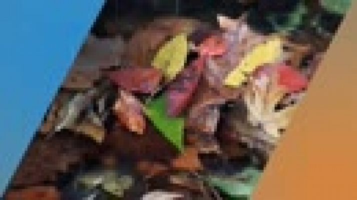 El tiempo - Lluvias en el área mediterránea y del Estrecho