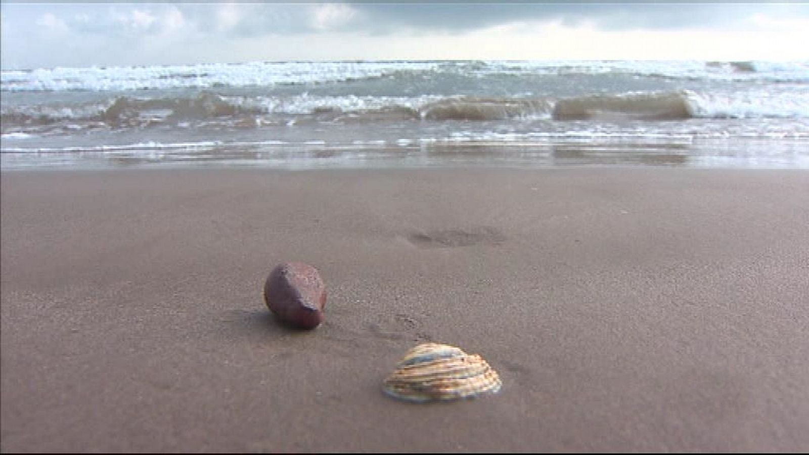 La Comunidad Valenciana en 2' - 14/11/18 - ver ahora