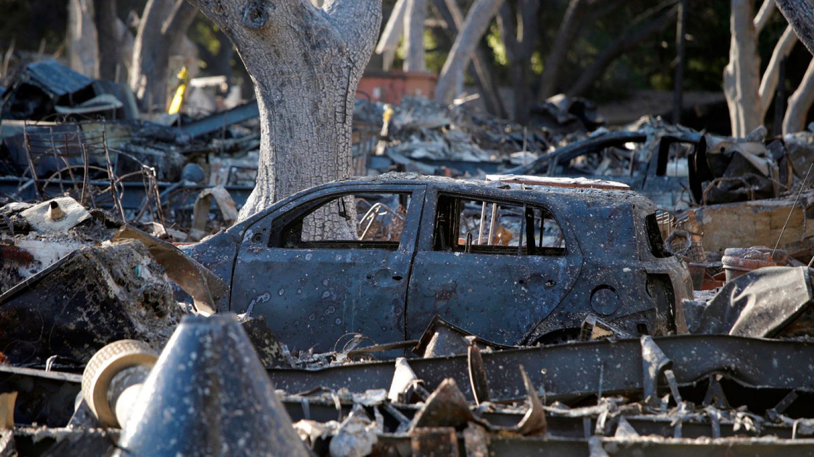 Telediario 1: Ya son 50 los fallecidos en los incendios de California | RTVE Play