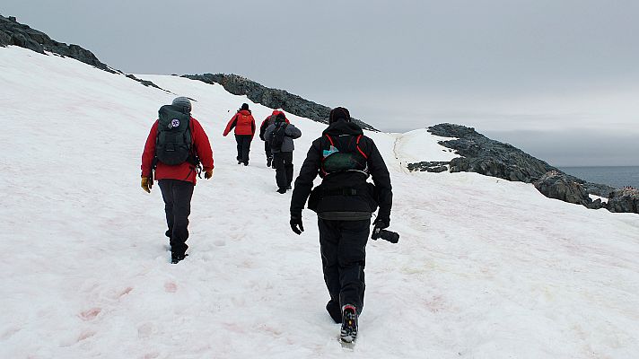 Telediario 1 - Científicos españoles lideran la primera expedición antártica libre de emisiones
