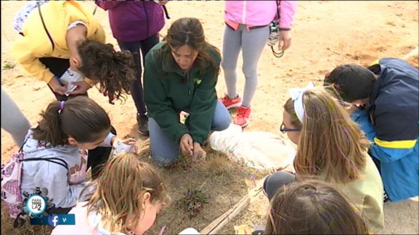 Para todos La 2: La Reserva de la Biosfera  de La Mancha Húmeda | RTVE Play