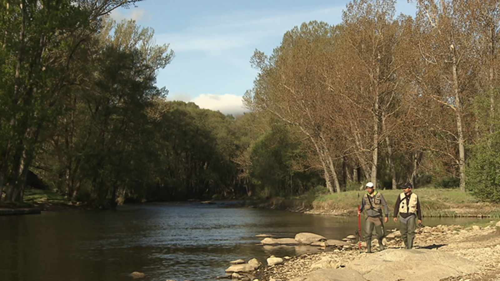 Jara y sedal - El remonte del rio Alberche