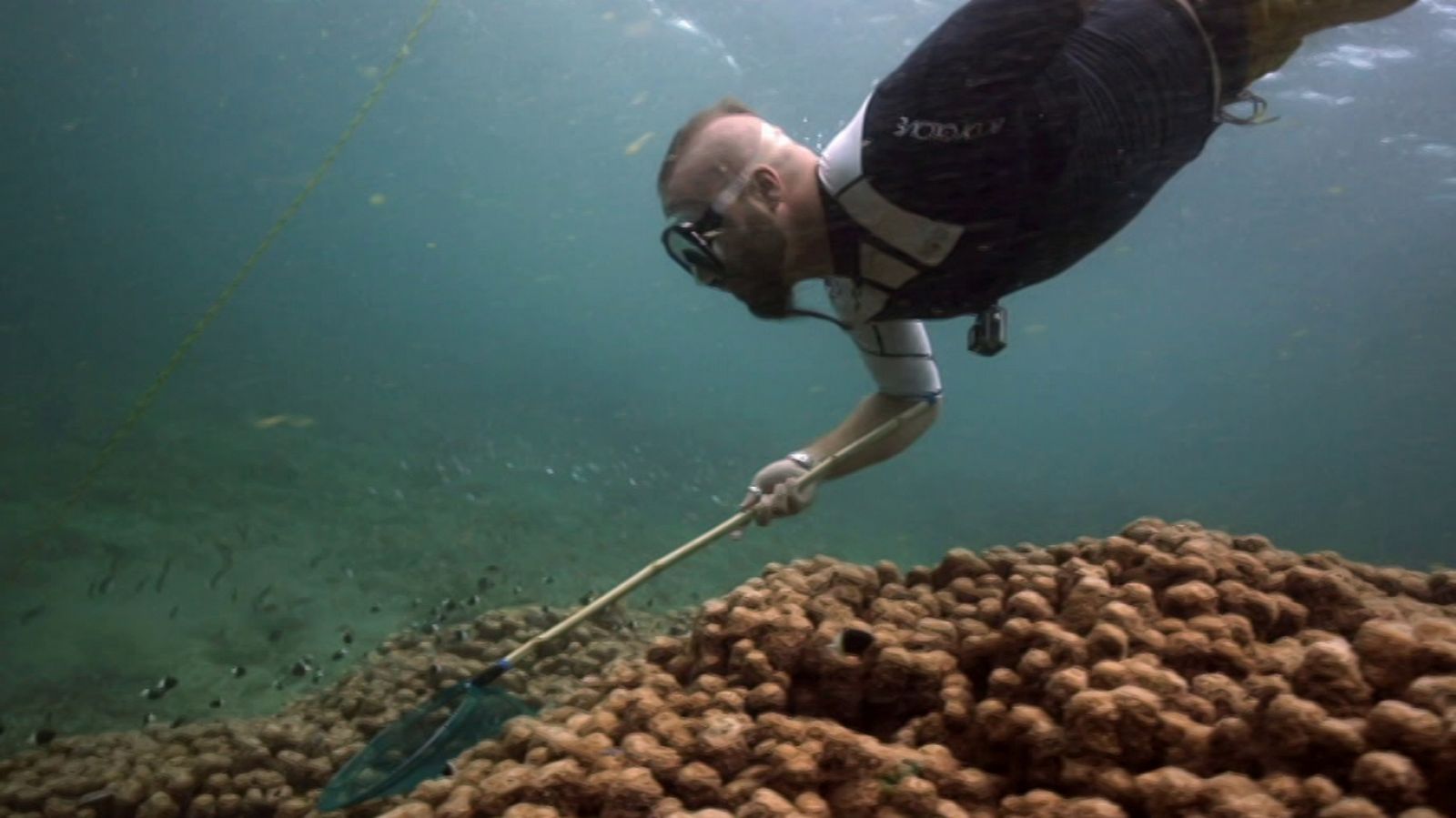 Otros documentales - Pesca Imposible 2: Mozambique - ver ahora