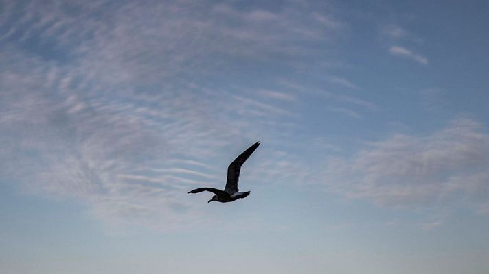 El tiempo - Poco nuboso o despejado en el  Cantábrico y norte de Galicia