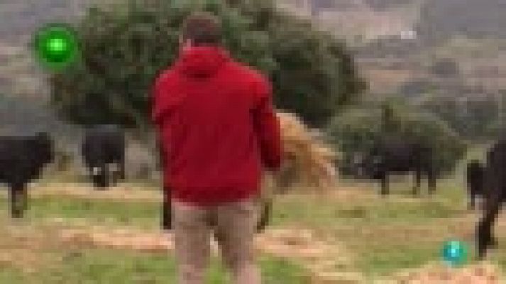 Agrosfera - Agricultura ecológica