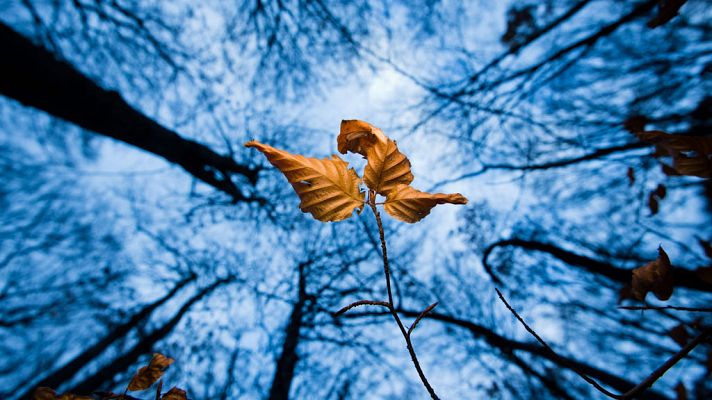 Informativo de Madrid - El Tiempo en la Comunidad de Madrid - 20/11/18