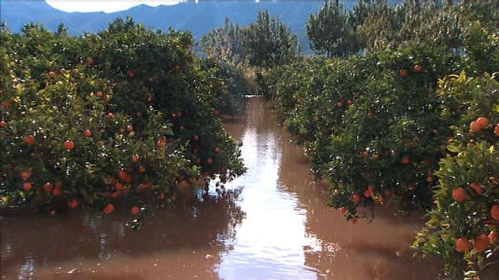 L'informatiu - Comunitat Valenciana - L'Informatiu - Comunitat Valenciana 2 - 20/11/18