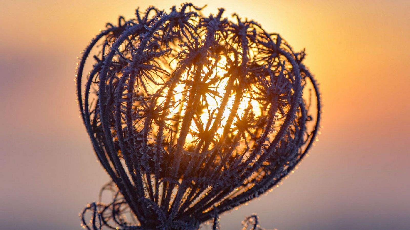 El Tiempo en la Comunidad de Madrid - 21/11/18 - ver ahora