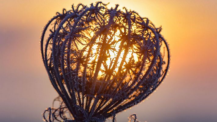 Informativo de Madrid - El Tiempo en la Comunidad de Madrid - 21/11/18