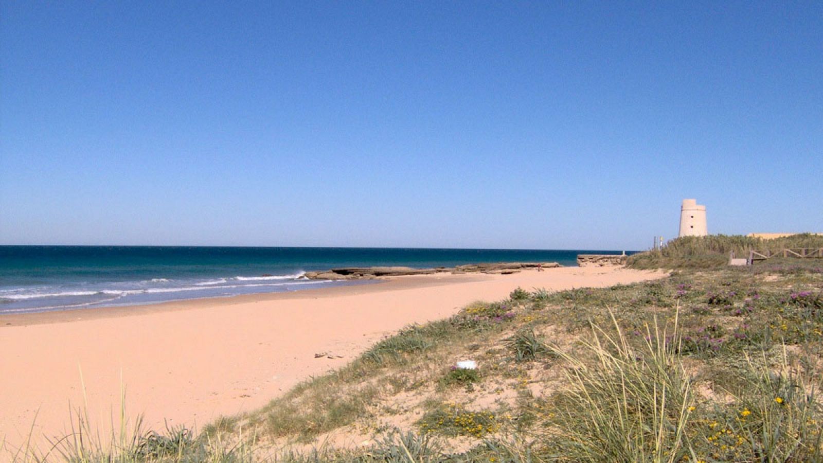 Un inmigrante superviviente rescatado en la playa del Palmar y nueve fallecidos en una lancha neumatica en Cádiz