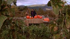 Aquí la tierra - Arrope en El Tiemblo