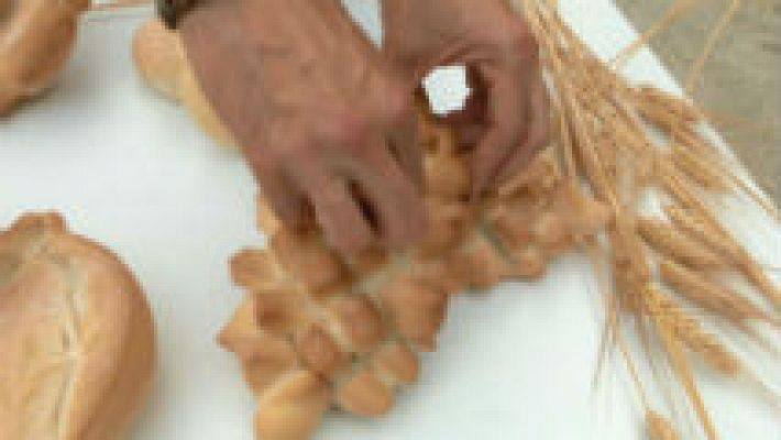 Aquí la Tierra - Alcalá "de los panaderos"