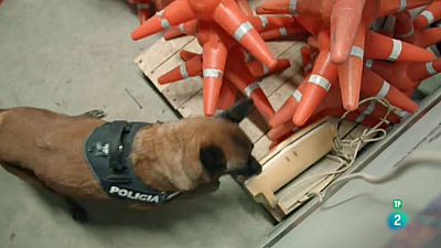 La meva mascota i jo - La Unitat Canina dels Mossos d'Esquadra