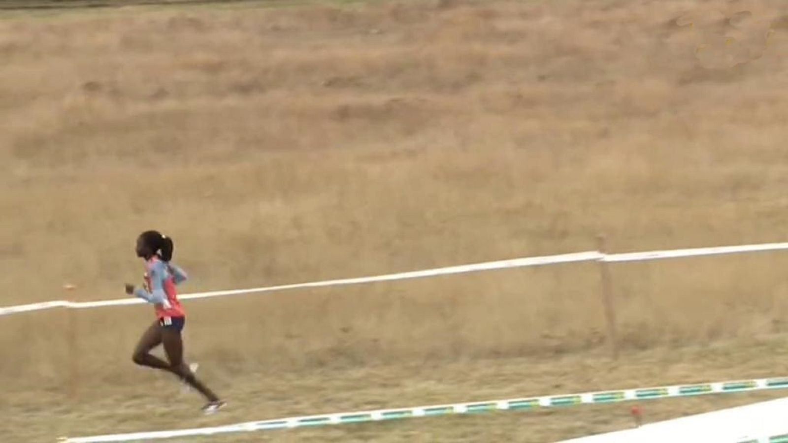 Cross - Campo a Través Internacional de Soria 2018. Resumen - ver ahora