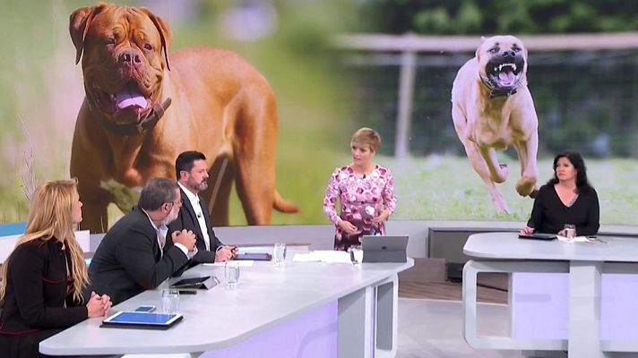 La mañana - La Mañana - 22/11/18