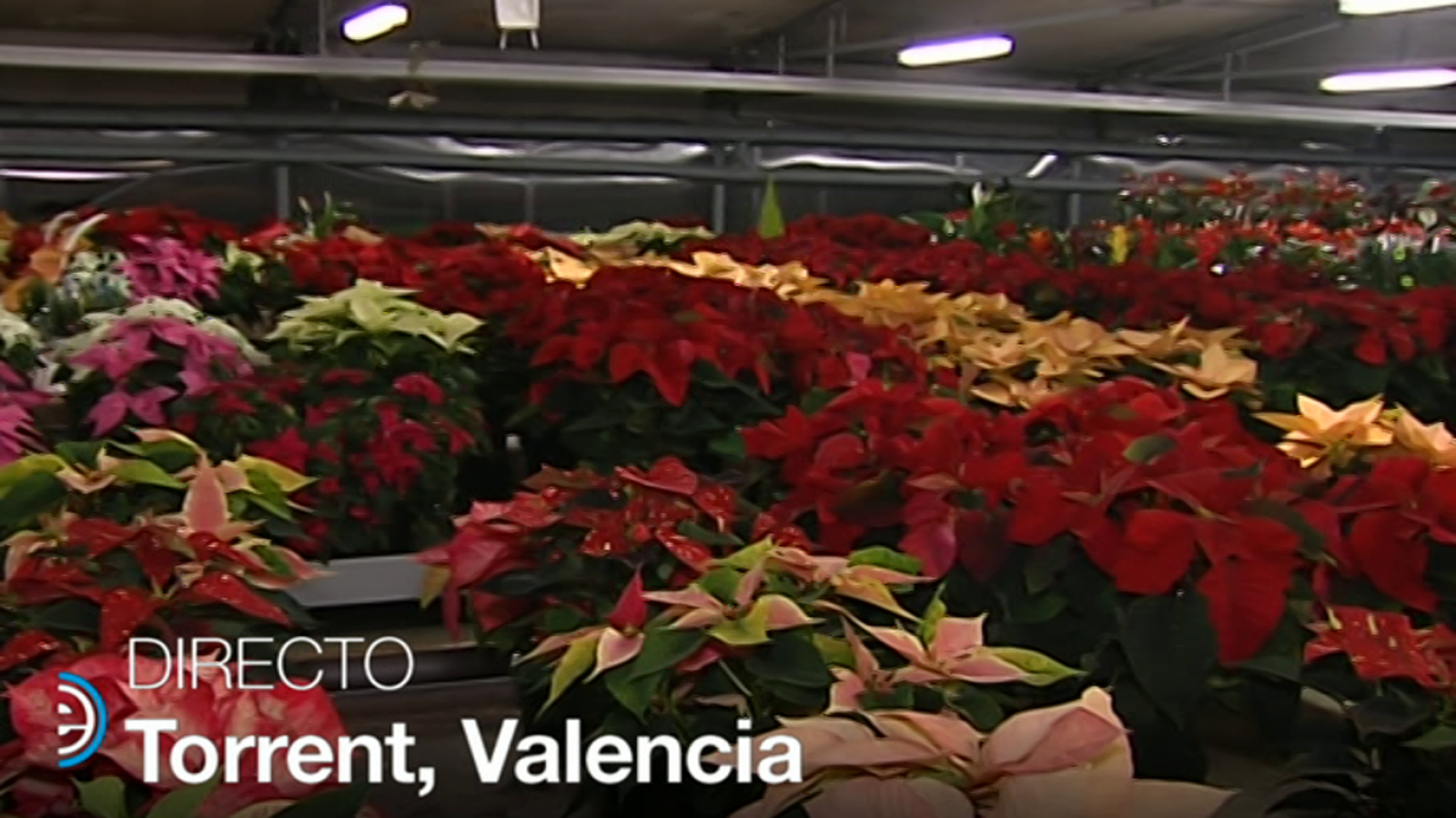 España Directo - 22/11/18 - ver ahora