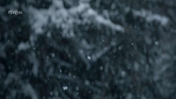  - Sierra Nevada levanta el telón de la temporada el 24 de noviembre