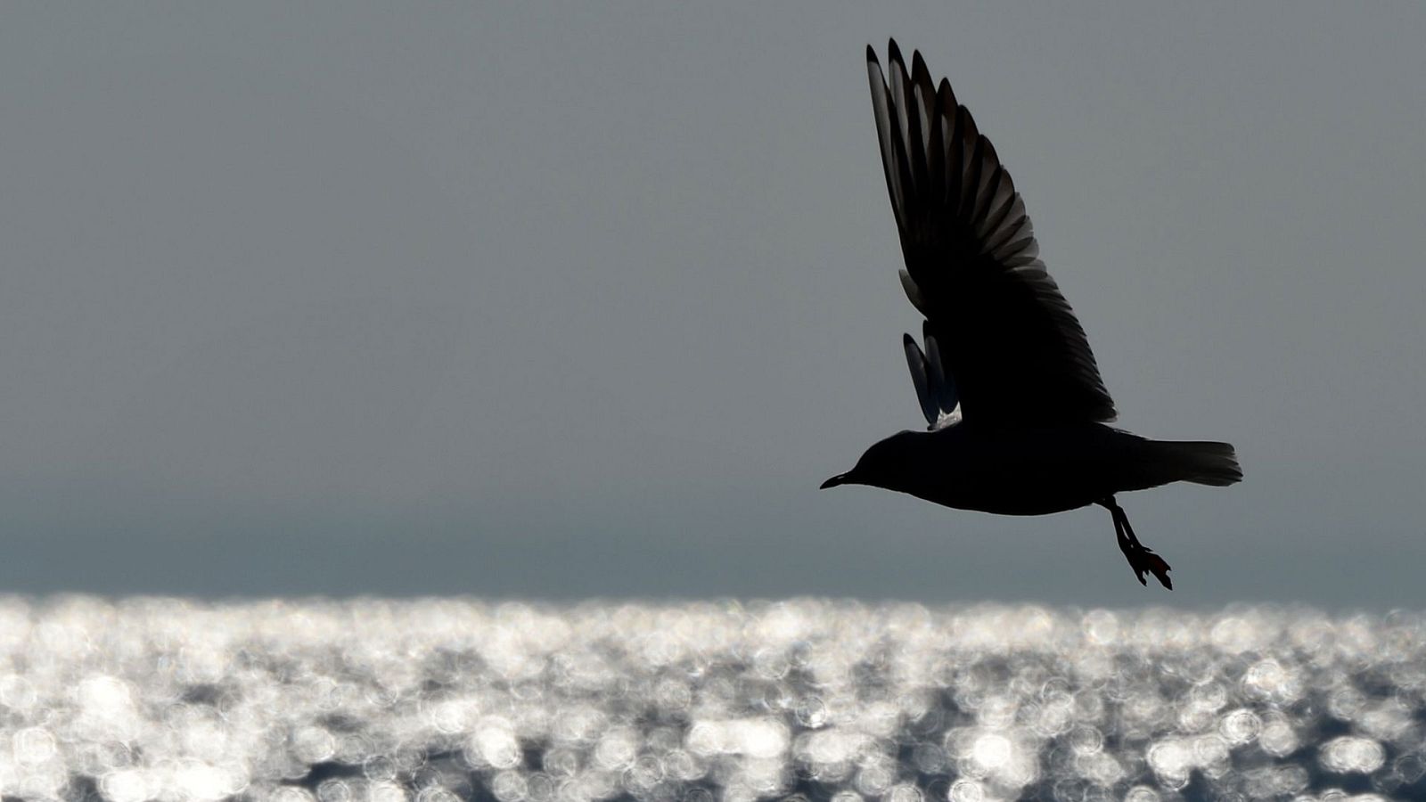 Rachas de viento fuertes en litorales de Galicia y en la Cordillera Cantábrica