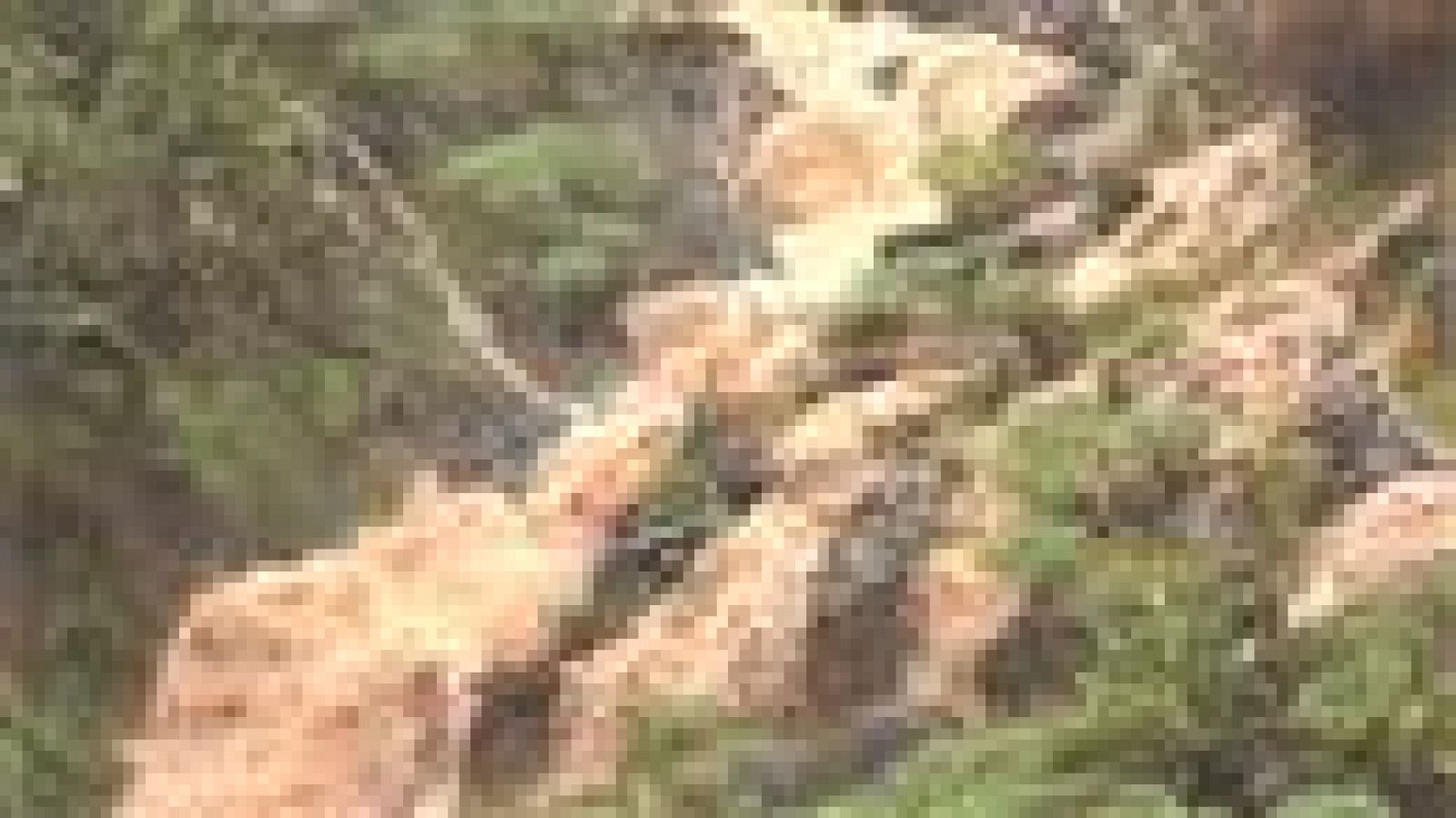 Telecanarias - 23/11/2018