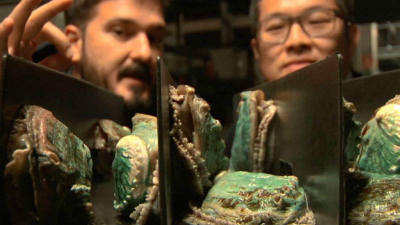 El abalón, el secreto del mar