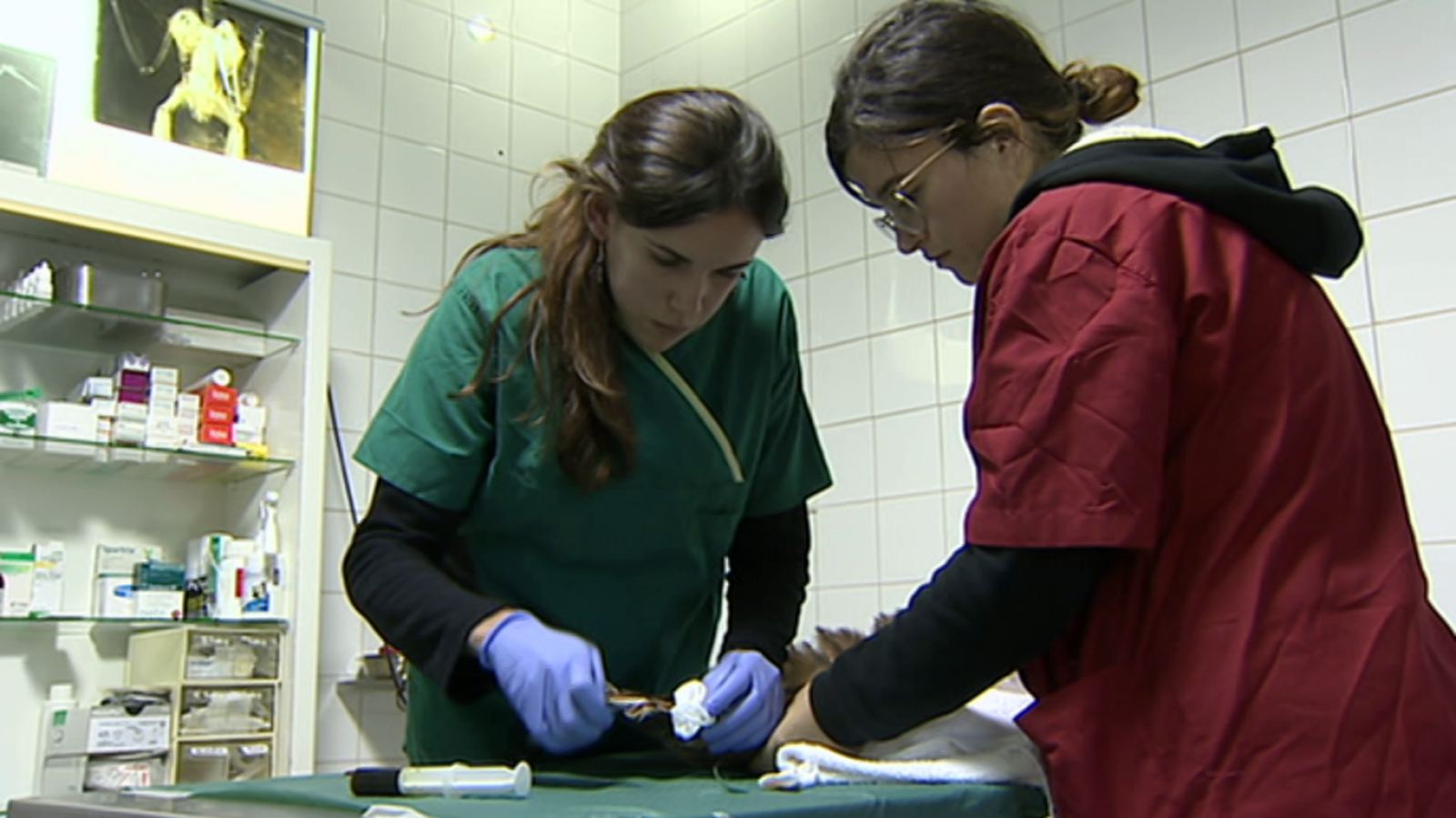 España en Comunidad - 24/11/18 - España en comunidad | Ver