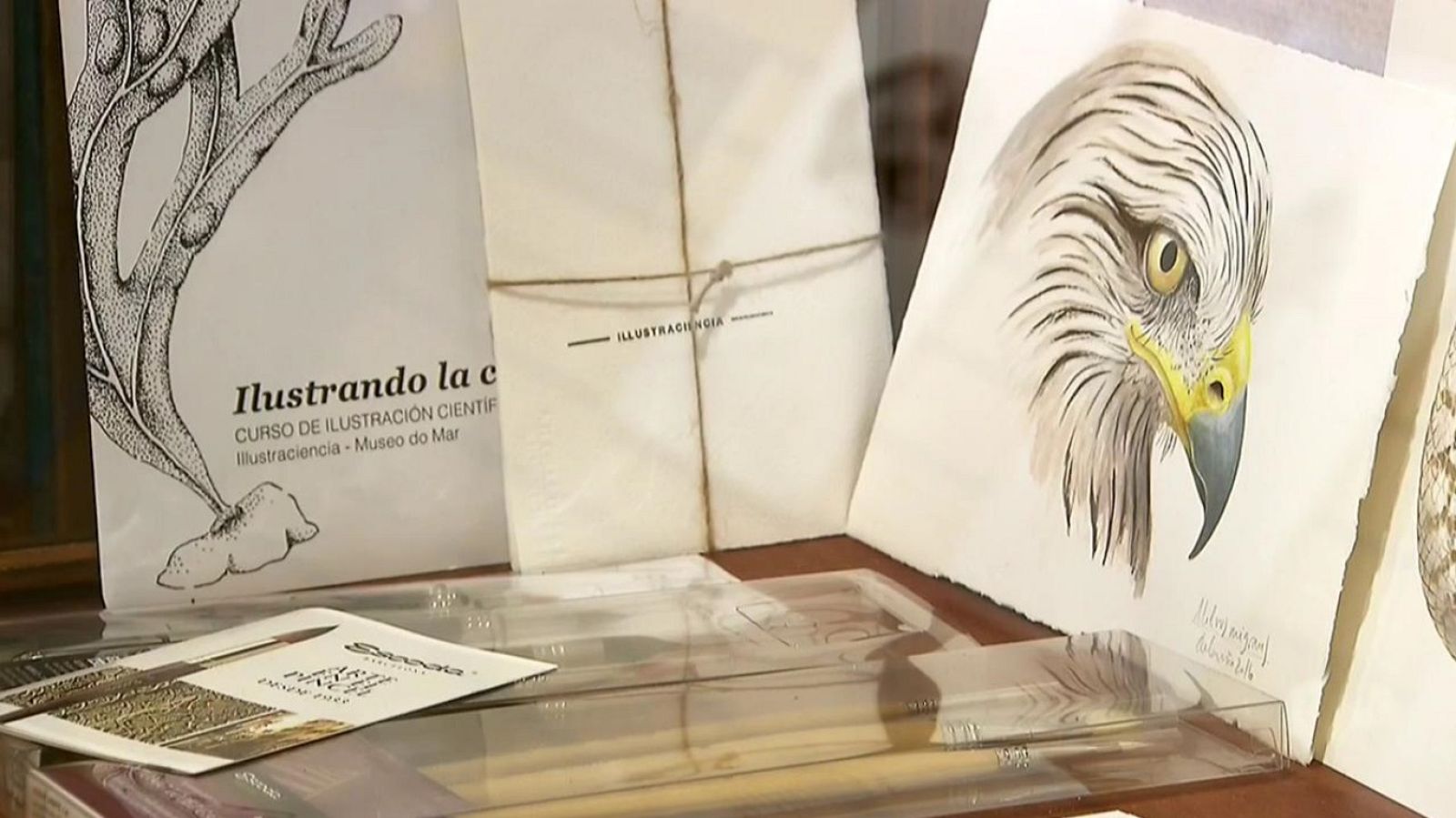 La aventura del saber - 26/11/18 - ver ahora