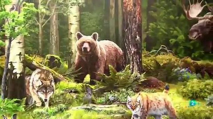 La aventura del Saber - Illustraciencia: Ilustración Científica y de Naturaleza