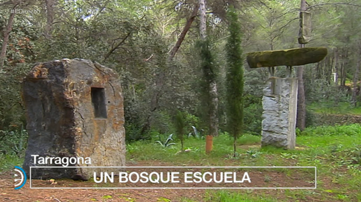 España Directo - España Directo - 26/11/18