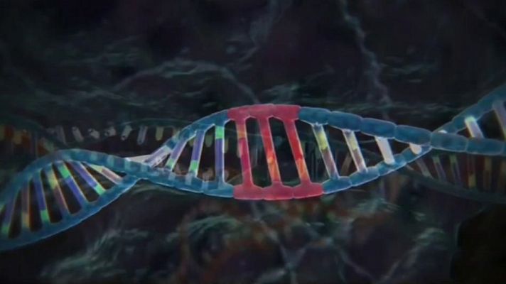 La tarde en 24h - La tarde en 24 horas - La Barra - Ciencia - 27/11/18