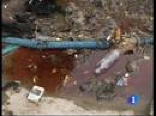  - Doble atentado suicida en Irak