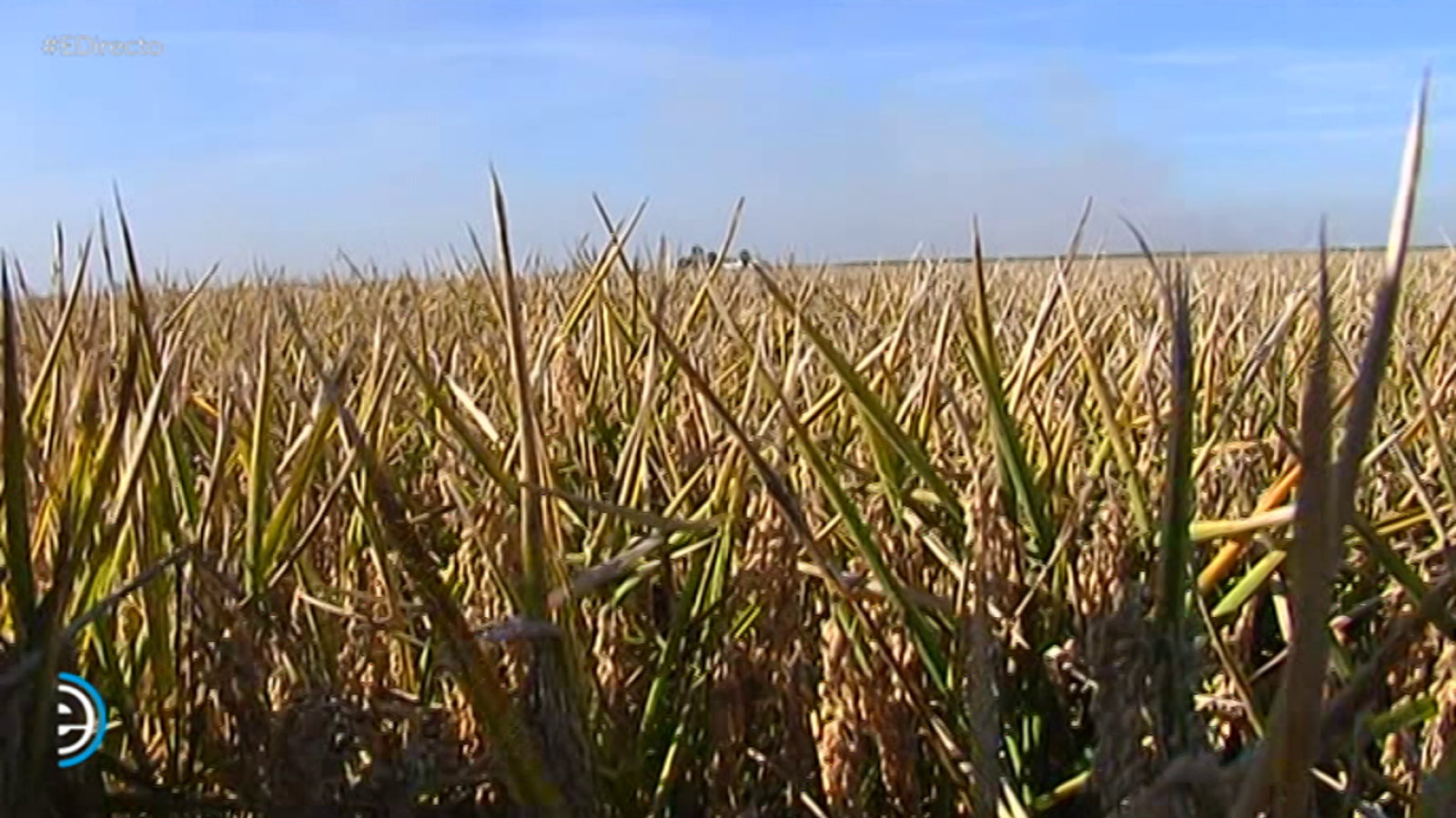 España Directo - 28/11/18 - ver ahora