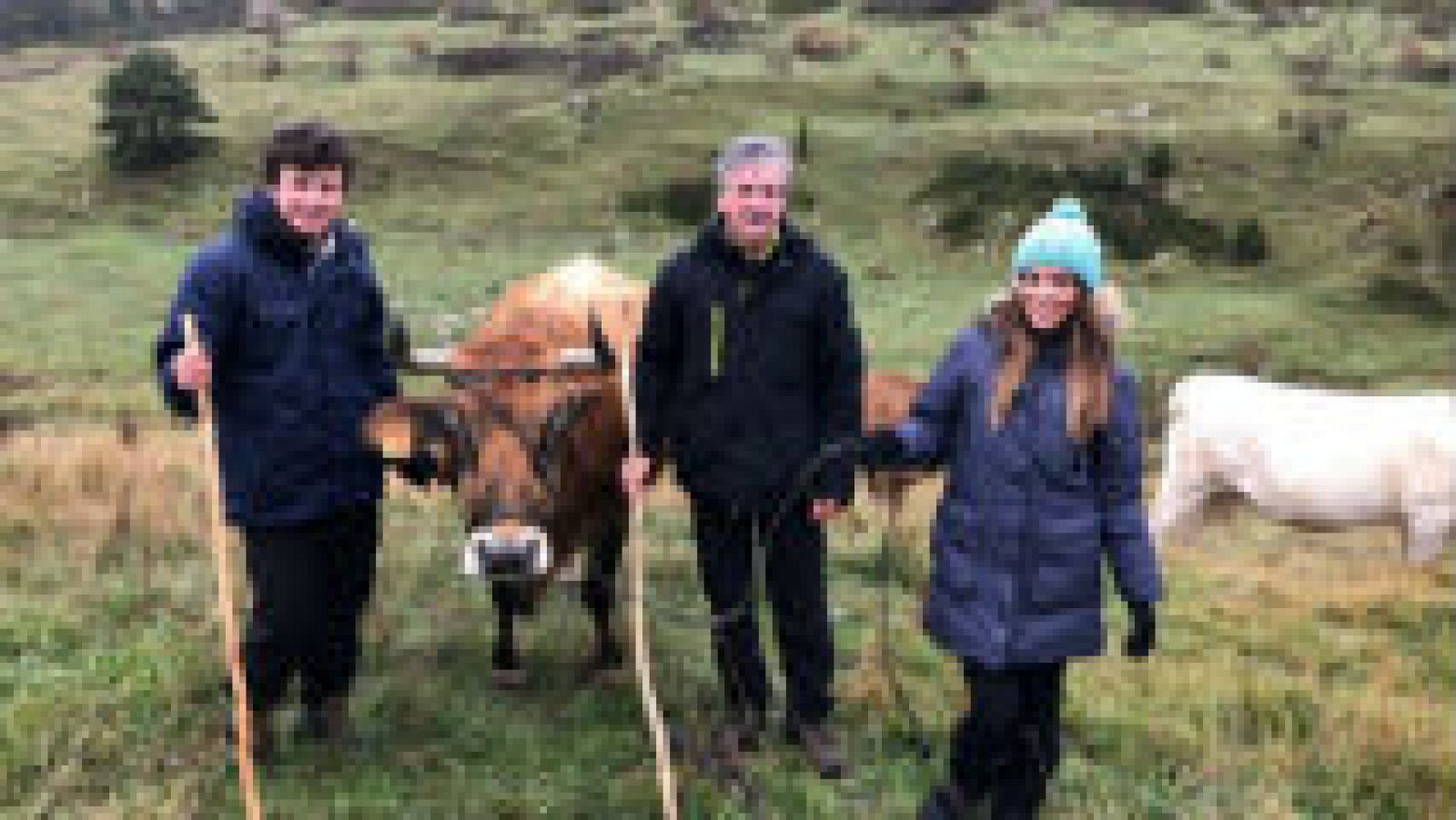 Qué es la trashumancia