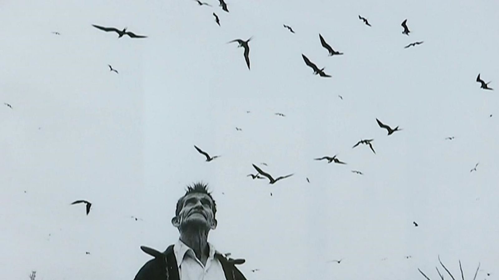 España en Comunidad - 01/12/18 - ver ahora