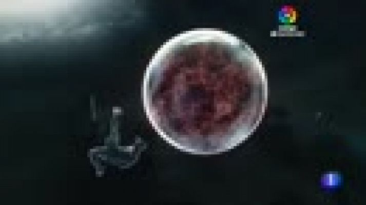 Telediario 1 - Isco entra en la convocatoria de Solari ante el Valencia