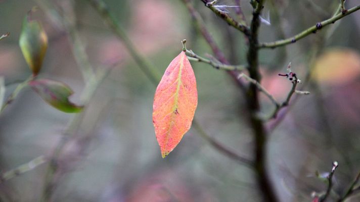 El tiempo - Viento fuerte en Galicia y temperaturas en aumento en la Península