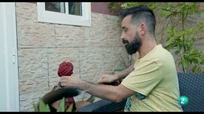 La meva mascota i jo - Plomo i Diesel, la història del destí