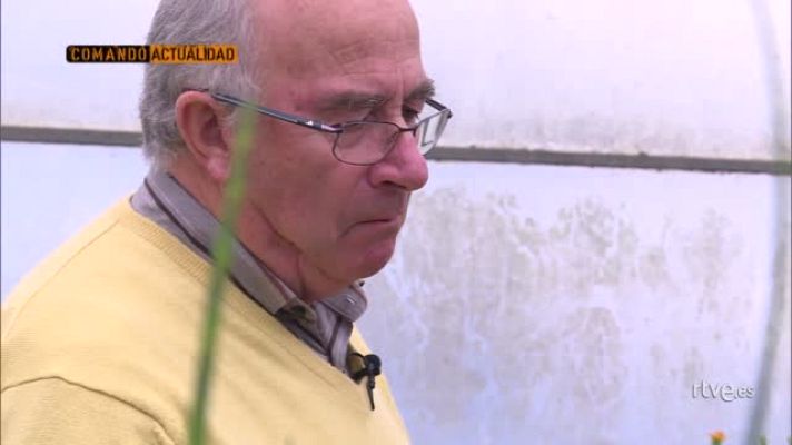  - Pseudociencias -  Avance