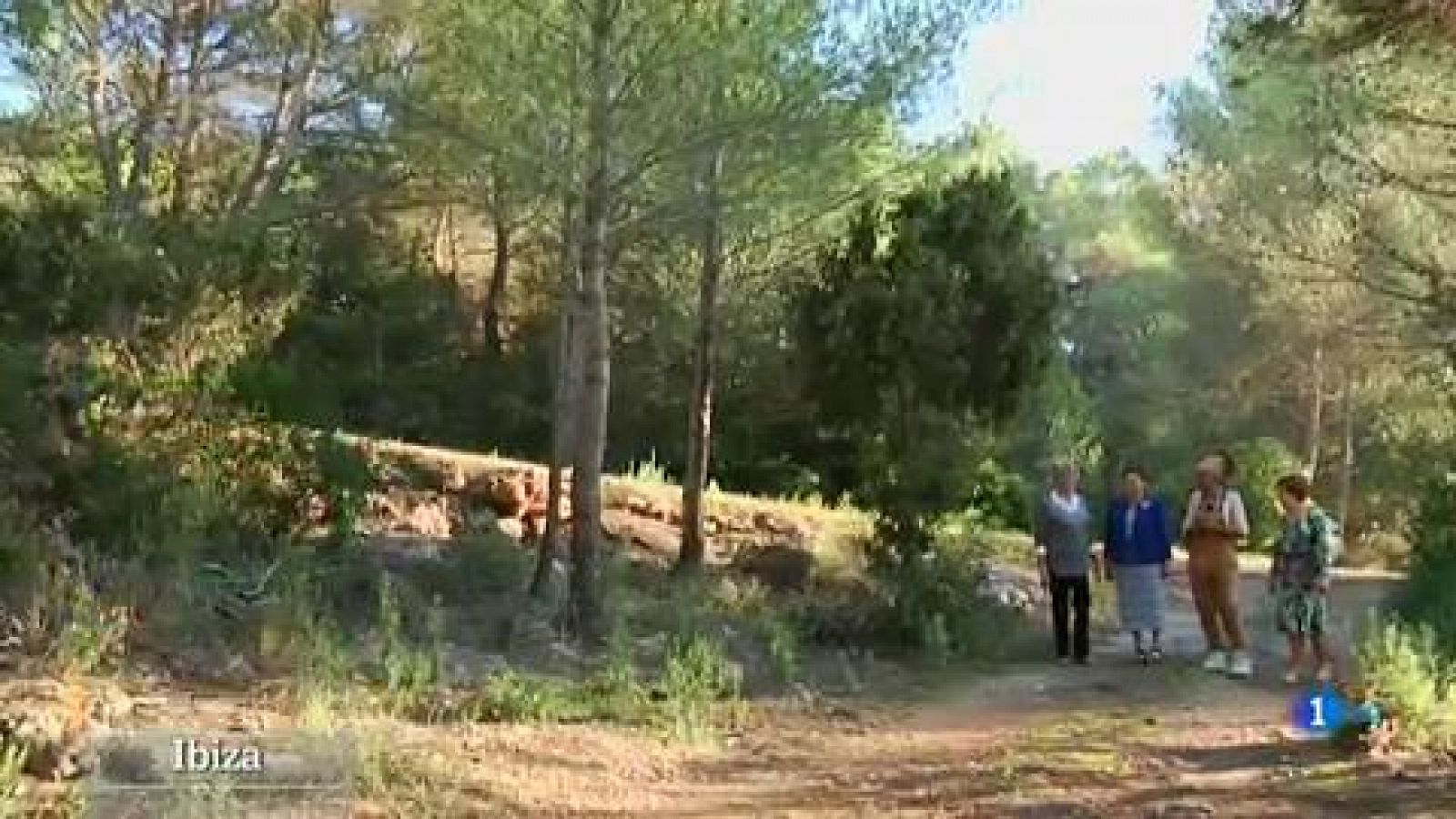 Sopa con orégano y la sabiduría del campo 