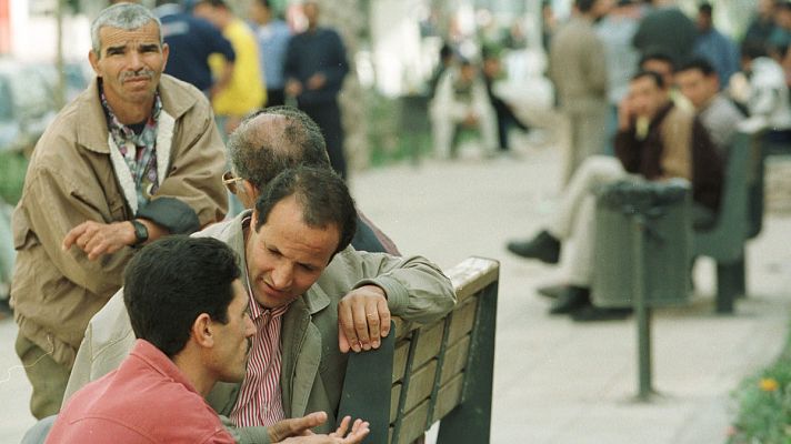 El Ejido, único municipio andaluz en el que ha ganado Vox